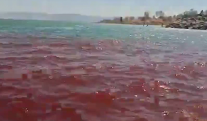 “피 물든 갈릴리 호수, 종말의 징조” 이스라엘 공포 확산, 무슨일