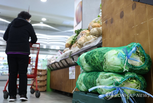 “김장 비용 부담 줄겠네” 배추 가격 절반 수준으로