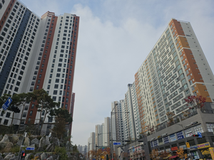 내돈내산 ‘첫집’은 인천에서… 한 달 새 70% 급증