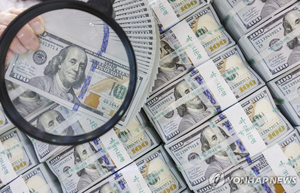 환율 오르자 서학개미 주춤…美 주식 순매수 77% ‘뚝’