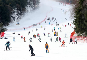 스키캠프서 초등생 여제자 성추행 혐의 40대 교사…“도주 우려” 구속