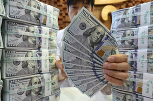 IMF 경고 “한국, 달러자산 외환시장 환노출 비중 커…약 25배”