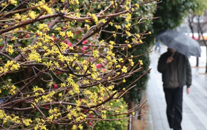 [날씨] 목요일엔 전국 곳곳에 눈 또는 비…강원 산지 최대 20㎝ 눈