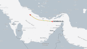 한국 실소유 선박, 호르무즈 통과했다… 이란 지정항로 진입