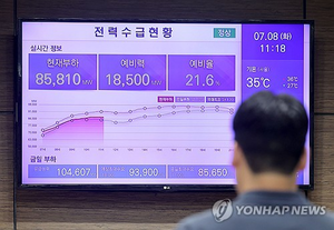 [사설] 전력망 감시 ‘전력감독원’ 만든다는 정부… 혈세 낭비 아닌가