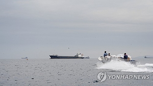 “호르무즈 하루동안 20여척 통과…통행 제한적 회복”