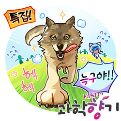 [KISTI의 과학향기]9일간의 대탈출, 늑구가 땅굴을 판 이유는?