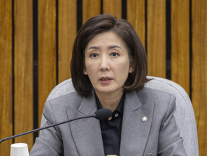 [속보] 李 종전 제안에 나경원 “국가 안보를 제물로…승부조작 자살골”