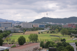 100년 숲 밀고 2만가구 짓나… ‘용산공원 주택공급’ 운명의 20일