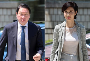 최태원, ‘동거인 1000억원’ 발언 노소영 변호사 불기소에 항고…