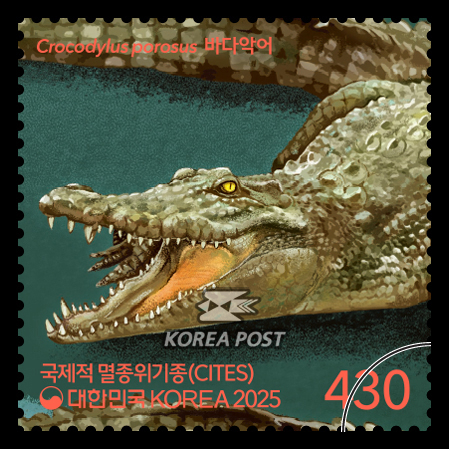 국제적 멸종위기종(CITES) - 바다악어. 우본 제공
