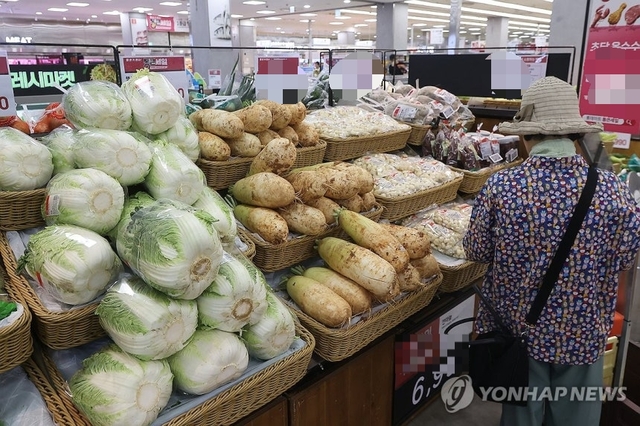 한 시민이 서울의 한 대형마트에서 장을 보고 있다. ※ 사진은 기사와 직접적인 관계가 없습니다. 연합뉴스 제공.