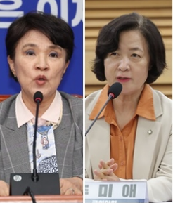 프랑스 특사단장 강금실(왼쪽) 전 법무부 장관과 영국 특사단장 추미애 의원  [연합뉴스]