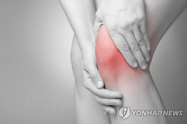 무릎 통증. 사진 연합뉴스.