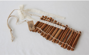 김수연의 슬템생