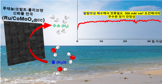 에기연이 개발한 해수 수전해용 전극 개념도.
에기연 제공