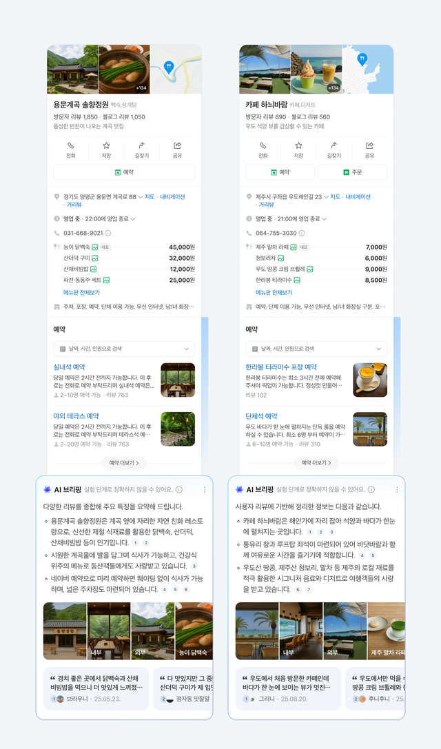네이버 플레이스 AI 브리핑 예시. 네이버 제공