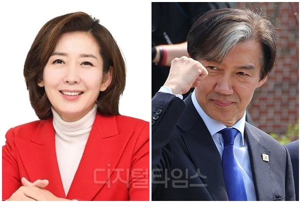 나경원(왼쪽) 국민의힘 의원과 조국 조국혁신당 혁신정책연구원장. [디지털타임스 DB, 연합뉴스]