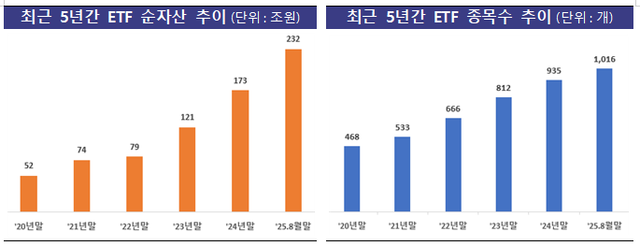 [금융감독원 제공]