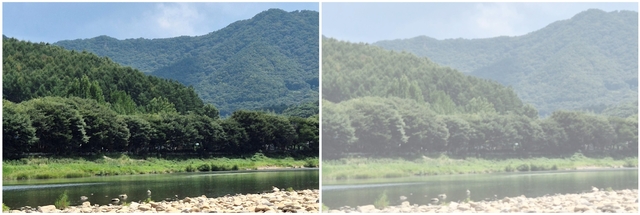 정상시야(왼쪽)와 백내장 환자의 시야 비교 모습. 김안과병원 제공.