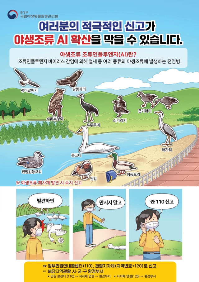 야생동물 폐사체 신고 및 업무 절차 안내. [국립야생동물질병관리원 제공]