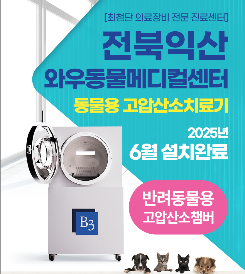 "휴벳, 동물치료 분야 확산..." 고압산소치료기 도입 효과↑ - 뉴스 썸네일 이미지