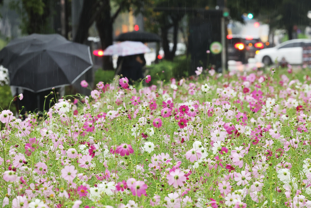 가을비 내리는 풍경. 연합뉴스