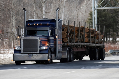 미국에서 목재를 나르는 트럭. [로이터=연합뉴스]