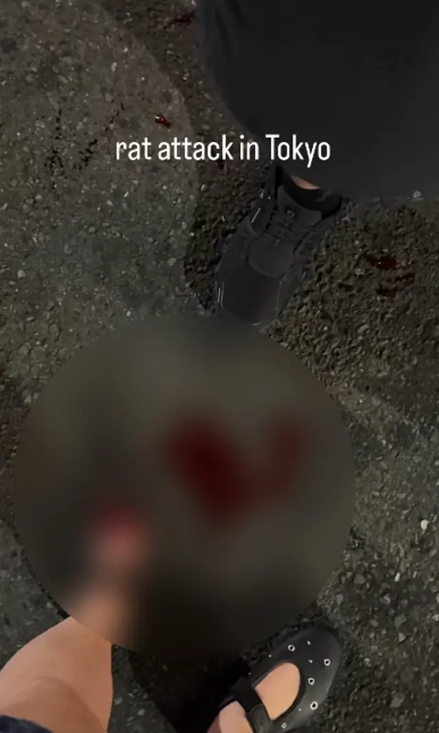 [출처=인스타그램 @yogitutty]