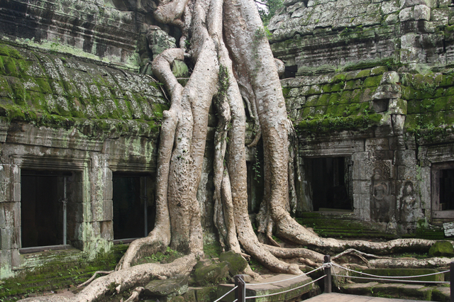캄보디아 [아이클릭아트 제공]