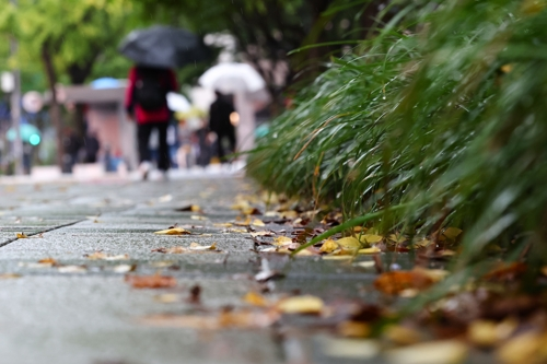 비가 내린 13일 서울 종로구 세종대로 일대에 떨어진 낙엽이 비에 젖어있다. [연합뉴스]