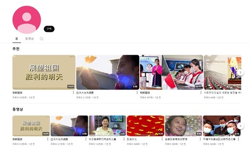 북한 찬양 불법정보 예시. 최수진의원실