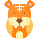 호랑이띠. 자세히 알아보기