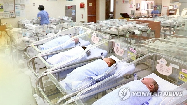 [연합뉴스]