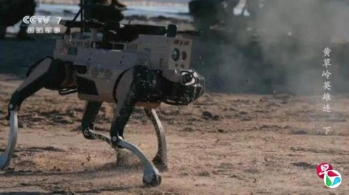 중국 늑대 로봇 [연합조보 캡처]