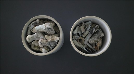 2005년 3월 발굴한 고(故) 양이한 일병의 유해. 국방부유해발굴감식단 제공