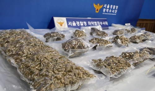 경찰이 압수한 대마 [서울경찰청 마약범죄수사대 제공]