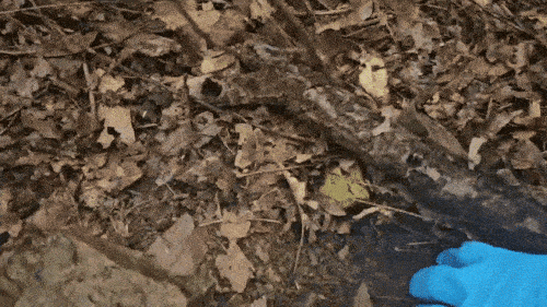 ‘수도권 필로폰 판매·유통책’ 대부분 조선족…회칼로 경찰 위협도