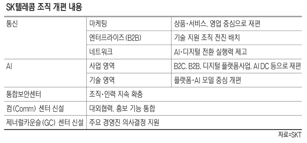 SKT, 임원 30% 축소… “조직 효율화·책임 경영 강화”