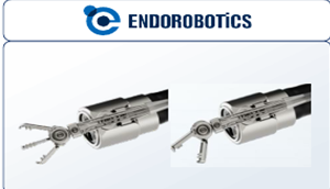 엔도로보틱스의 ‘내시경 호환형 유연 수술로봇’. 과기정통부 제공.