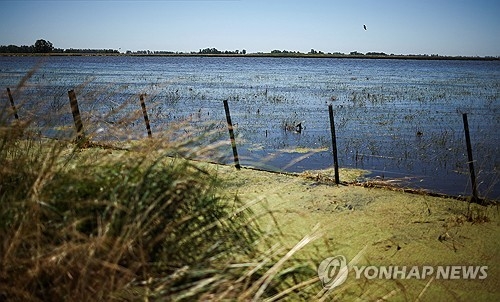 17일(현지시간) 아르헨티나 부에노스아이레스주 도세데옥투브레 지역에서 홍수로 농경지가 침수된 상태. 로이터 연합뉴스