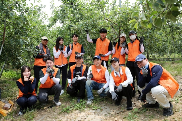 ㈜한화 임직원들이 경기도 연천군 군남면 임진농협 관내 사과농가에서 농촌 일손돕기 봉사활동을 진행하고 있다. [㈜한화 제공]