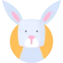 토끼띠. 자세히 알아보기