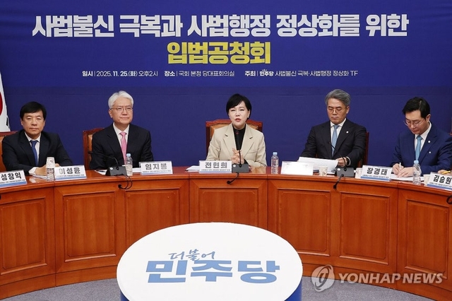 25일 서울 여의도 국회에서 열린 더불어민주당 ‘사법불신 극복·사법행정 정상화’ 태스크포스(TF) 공청회에서 전현희 TF 단장이 발언하고 있다. [연합뉴스]