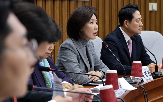 나경원 국민의힘 의원이 24일 국회에서 열린 대장동 범죄수익환수 특별법 제정을 위한 긴급 토론회에서 발언하고 있다. [연합뉴스]
