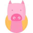 돼지띠. 자세히 알아보기