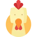 닭띠. 자세히 알아보기