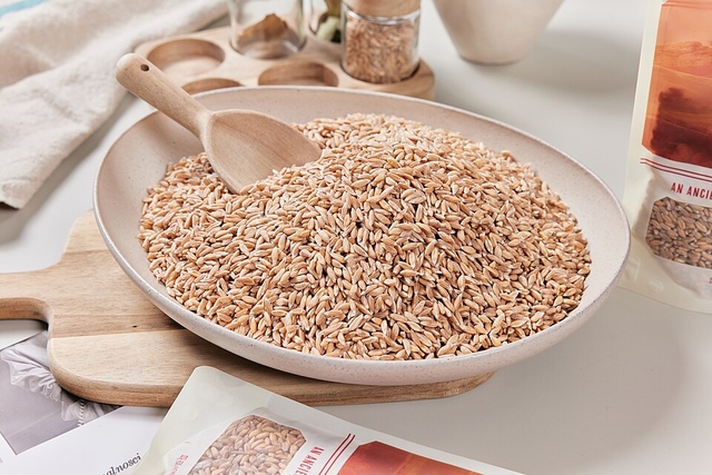 고대곡물 파로(farro) 이미지