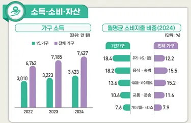 지난해 1인가구의 연간 소득은 3423만 원으로 전체 가구의 46.1% 수준이었다. [데이터처 제공]