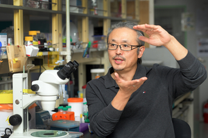 [이준기의 D사이언스] “노화는 미래 핵심 산업… 한발 빨리 질병코드 부여해야”